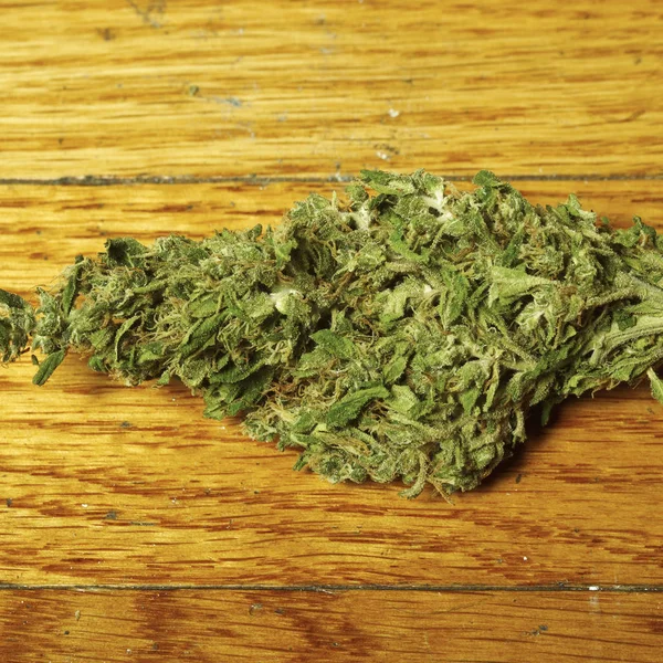 Marihuana Getrocknet Drogenabhängigkeit Medizinisches Marihuana Konzept — Stockfoto