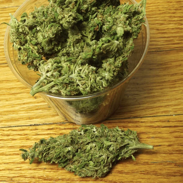 Närbild Torkad Marijuana Och Plast Kopp Narkotikamissbruk Koncept Medicinsk Marijuana — Stockfoto