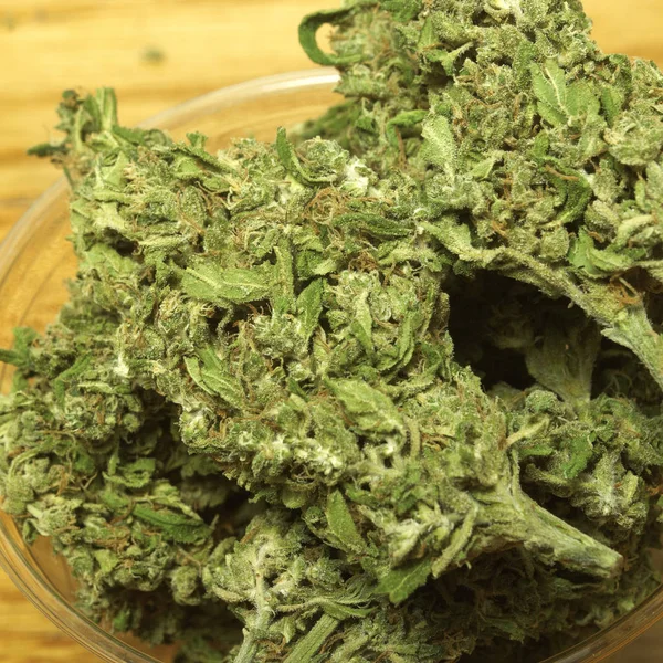 Närbild Torkad Marijuana Och Plast Kopp Narkotikamissbruk Koncept Medicinsk Marijuana — Stockfoto