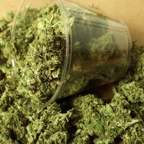 Kurutulmuş Marihuana Plastik Bardak Yakından Görünümü Uyuşturucu Bağımlılığı Kavramı Tıbbi — Stok fotoğraf