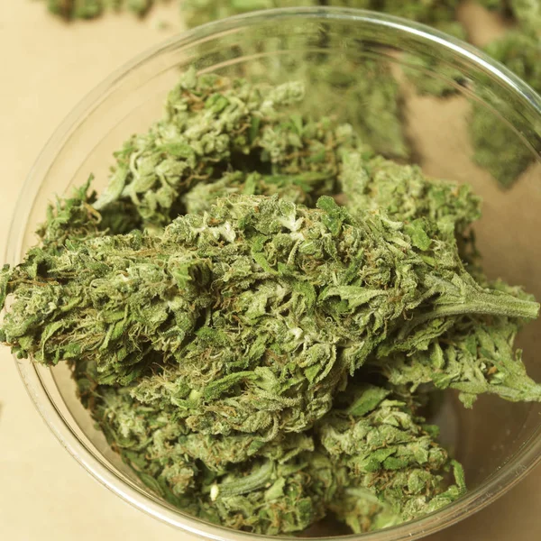Närbild Torkad Marijuana Och Plast Kopp Narkotikamissbruk Koncept Medicinsk Marijuana — Stockfoto