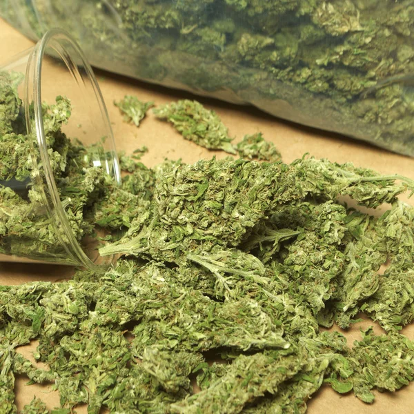 Close Weergave Van Gedroogde Marihuana Plastic Beker Drugsverslaving Concept Medisch — Stockfoto