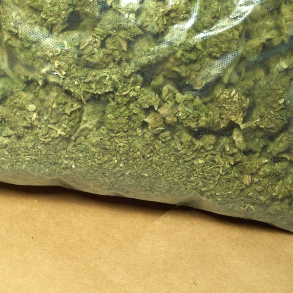 Packade Marijuana Narkotika Missbruk Koncept Medicinsk Marijuana Koncept — Stockfoto