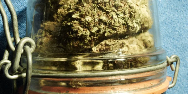 Cam Kavanozda Kurutulmuş Marijuana Uyuşturucu Bağımlılığı Kavramı Tıbbi Esrar Kavramı — Stok fotoğraf