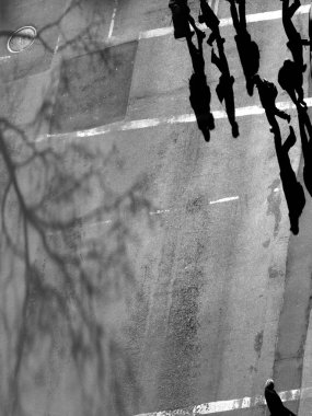 asfaltın siyah beyaz fotoğrafı