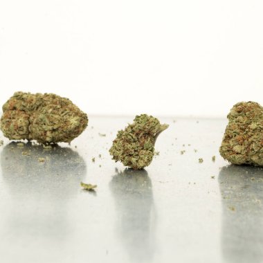 Kurutulmuş marihuananın yakından bak. Uyuşturucu bağımlılığı kavramı. Tıbbi marihuana kavramı 