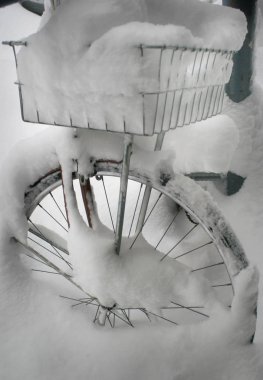 Bisikletle karlı kış ormanına yakın.