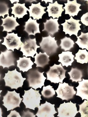 Gümüşe mikroskopla bakmak