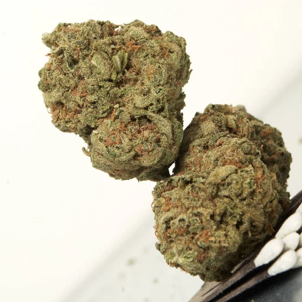 Närbild Syn Torkad Marijuana Narkotikamissbruk Koncept Medicinsk Marijuana Concept — Stockfoto