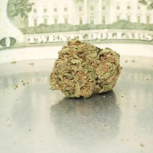 Marihuana i pieniądze — Zdjęcie stockowe