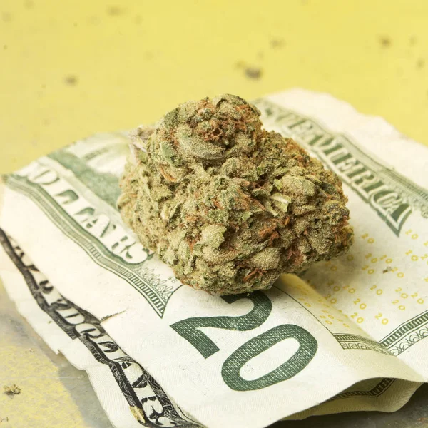 Marijuana and Money — Stock Photo, Image