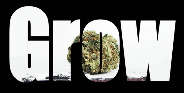 Grow Lettering Black Background Marijuana — Stock Photo, Image