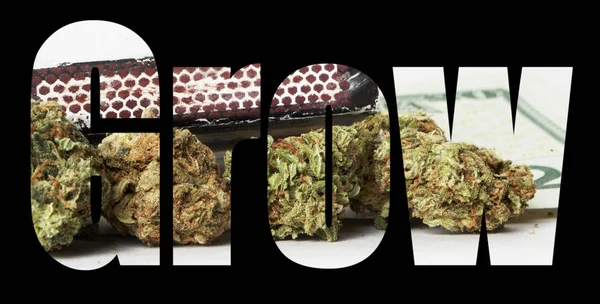 Grow Lettering Sfondo Nero Con Marijuana — Foto Stock