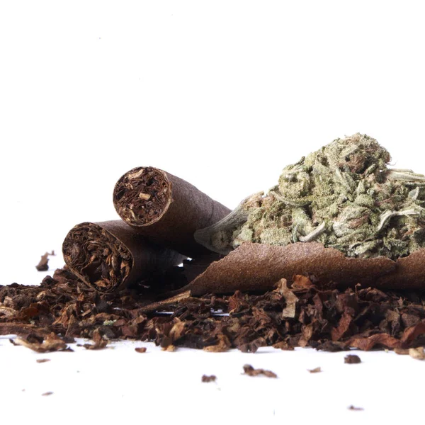 Getrocknetes Marihuana Und Tabak Drogenabhängigkeit Medizinisches Marihuana Konzept — Stockfoto