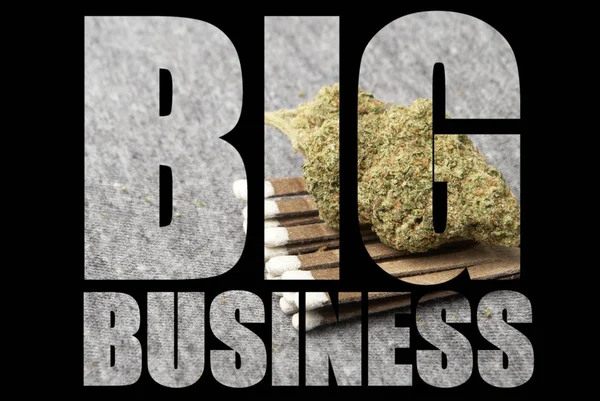 Big Business Inskription Med Marijuana Inuti Svart Bakgrund — Stockfoto