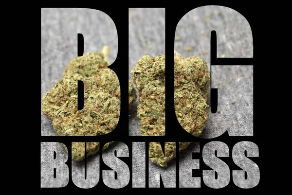 Duży Biznes Napis Marihuaną Wewnątrz Czarnym Tle — Zdjęcie stockowe
