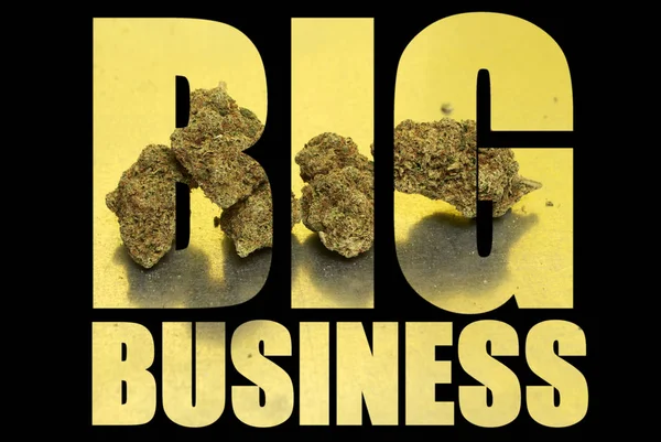 Big Business Inskription Med Marijuana Inuti Svart Bakgrund — Stockfoto