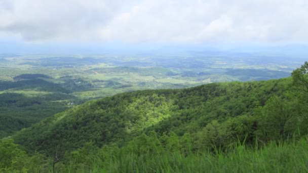 Heuvelachtig Landschap Met Groene Bomen Zomer Overdag — Stockvideo