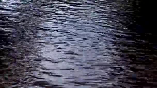 Riverside pendant la journée d'été, timelapse .