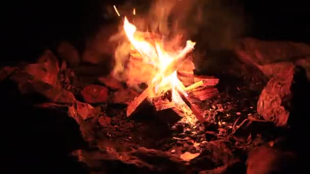 Feu Joie Avec Des Grumes Brûlantes Nuit Timelapse — Video