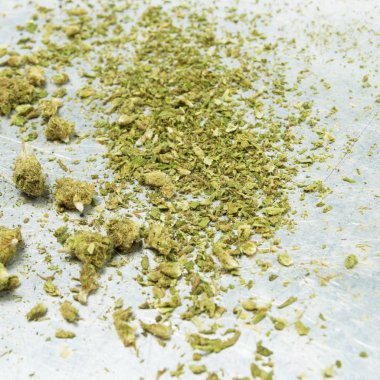 Mamarijuana kavramsal bileşimi, hala hayat.