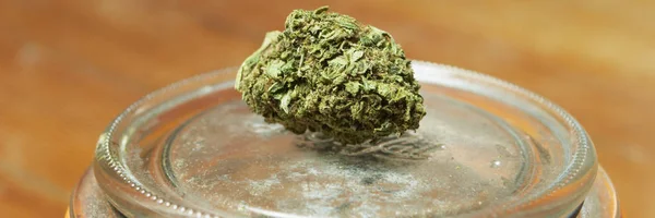 Marihuána Üvegedénybe Bud Cannabis Növény — Stock Fotó