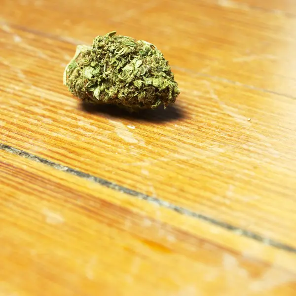 Maconha Mesa Madeira Broto Cannabis Plant — Fotografia de Stock