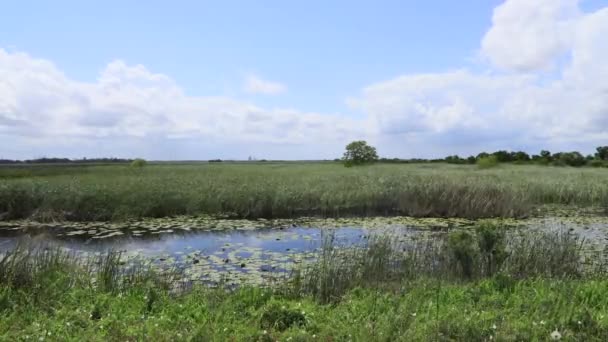 Riverside pendant la journée d'été, timelapse .
