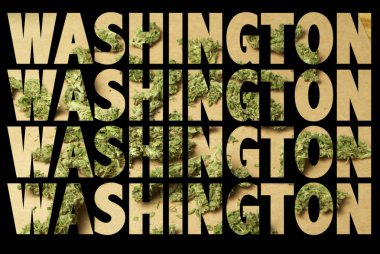 Siyah arka plan üzerinde marihuana içinde Washington yazıtlar