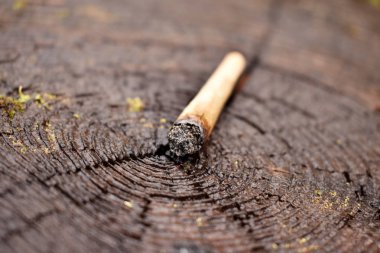 Mamarijuana kavramsal bileşimi, hala hayat.