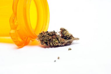 Kurutulmuş marihuananın yakından bak. Uyuşturucu bağımlılığı kavramı. Tıbbi marihuana kavramı 