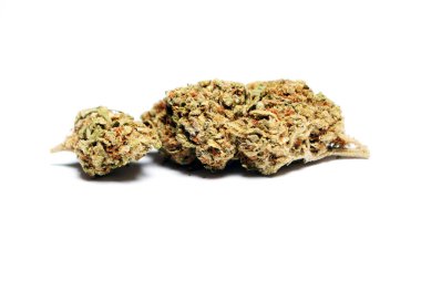 Kurutulmuş marihuananın yakından bak. Uyuşturucu bağımlılığı kavramı. Tıbbi marihuana kavramı 