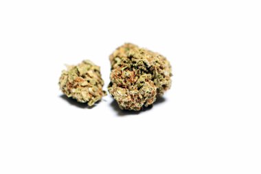 Kurutulmuş marihuananın yakından bak. Uyuşturucu bağımlılığı kavramı. Tıbbi marihuana kavramı 