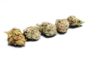 Kurutulmuş marihuananın yakından bak. Uyuşturucu bağımlılığı kavramı. Tıbbi marihuana kavramı 