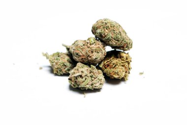 Kurutulmuş marihuananın yakından bak. Uyuşturucu bağımlılığı kavramı. Tıbbi marihuana kavramı 