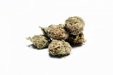 Kurutulmuş marihuananın yakından bak. Uyuşturucu bağımlılığı kavramı. Tıbbi marihuana kavramı 