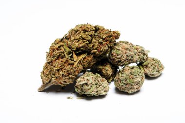 Kurutulmuş marihuananın yakından bak. Uyuşturucu bağımlılığı kavramı. Tıbbi marihuana kavramı 