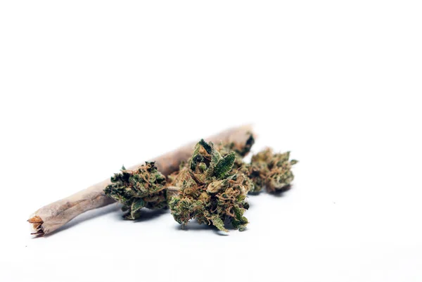 Close Weergave Van Gedroogde Marihuana Drugsverslaving Concept Medisch Marihuana Concept — Stockfoto