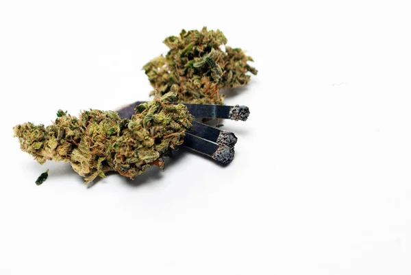 Kurutulmuş Marihuananın Yakından Bak Uyuşturucu Bağımlılığı Kavramı Tıbbi Marihuana Kavramı — Stok fotoğraf