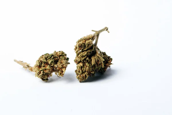 乾燥したマリファナのクローズアップビュー 薬物中毒の概念 医療用マリファナの概念 — ストック写真