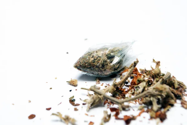 Konzeptionelle Zusammensetzung Von Mamarijuana Isoliert Auf Weißem Hintergrund — Stockfoto