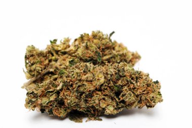 Beyaz arka planda izole mamarijuana kavramsal bileşimi