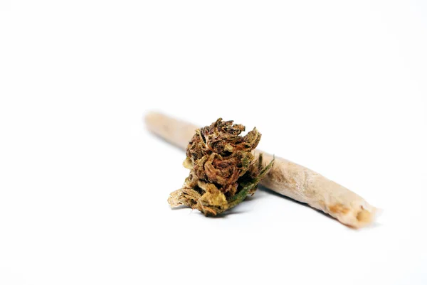 Marijuana ikon, cirkel — Stockfoto