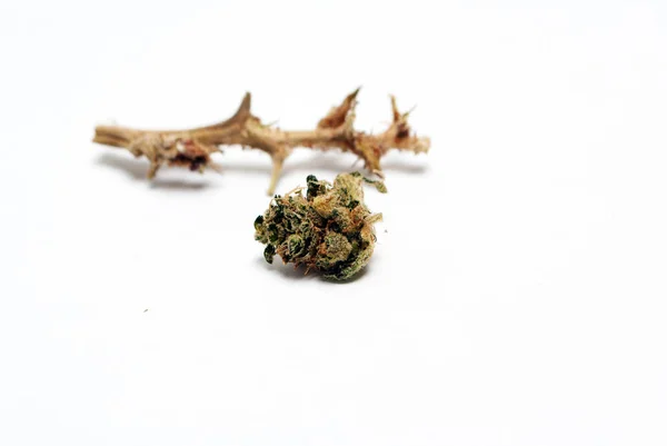 Marihuana-Symbol, Kreis — Stockfoto