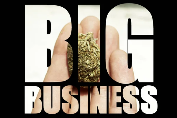 Big Business Schriftzug Auf Hintergrund Mit Marihuana — Stockfoto