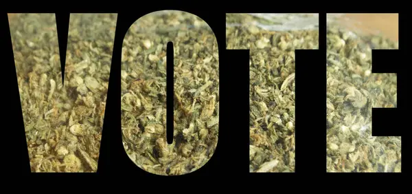 Voto Inscripción Con Marihuana Interior Sobre Fondo Negro Concepto Legalizado — Foto de Stock