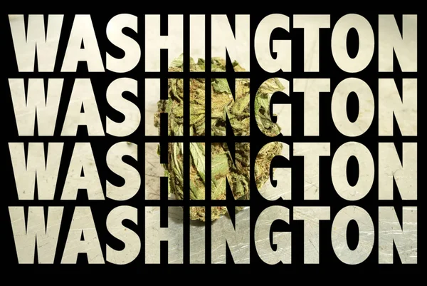 Washington Inscriptions Marijuana Black Background — Stock Photo, Image