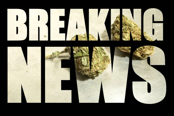 Brekend Nieuws Opschrift Met Marihuana Binnen Zwarte Achtergrond — Stockfoto