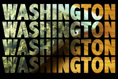 Tıbbi Esrar doku içinde Washington yazıtlar 