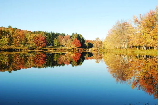 Осенний Пейзаж Деревьями Озером — стоковое фото